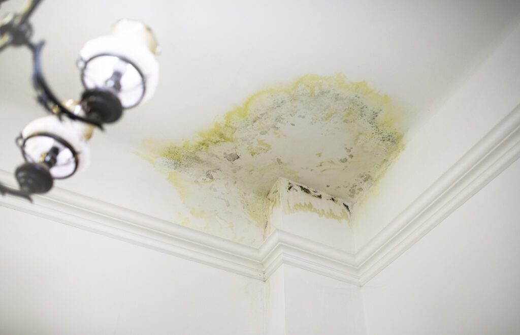 A stain on the ceiling in the apartment from flooding by the upstairs neighbors. Water leak damage. Damage created black mold 