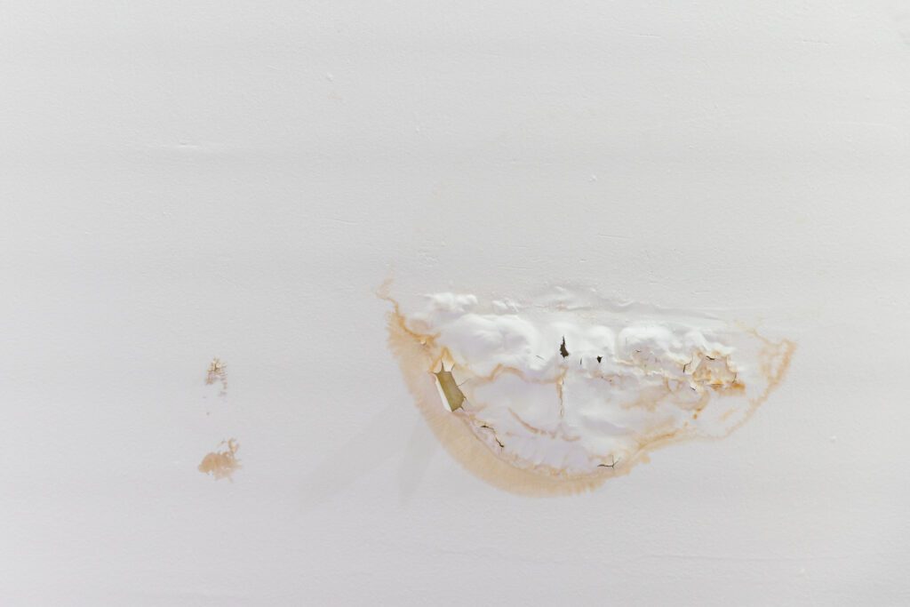 ceiling paint is peeling, bubbling